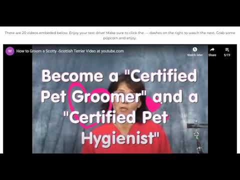 Dog Groomer Academy - Complete Dog Grooming Lesson - How to Groom a Dog