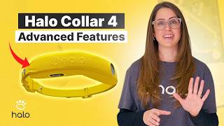 Halo Collar 4 Advanced Features: Best GPS Dog Collar & Virtual Dog Fence Upgrade