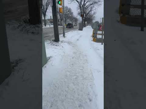 First snow in #saskatoon #saskatchewan #canada #snowfall #snow #newcomer