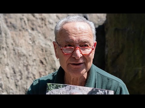 Schumer 'Paralyzed' - Shocking News Has Democrats In A Panic