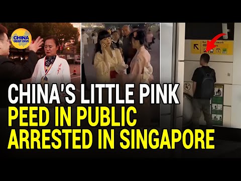 China's little pinks caused Uproar overseas  One was arrested in Singapore!