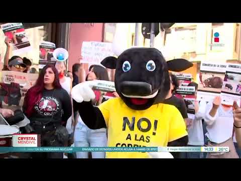 Varios colectivos protestan contra las corridas de toros en la CDMX | Noticias con Crystal Mendivil