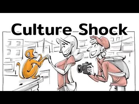 Culture Shock [Shorts Version] #travel #psychology #sociology #cultureshock #sproutsschools