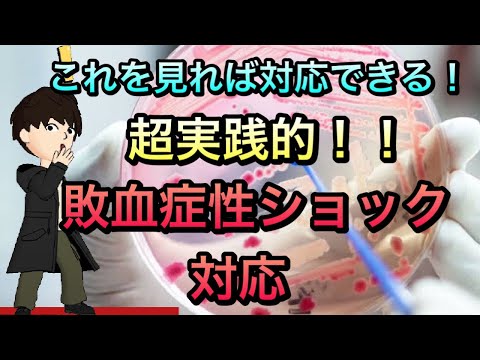 【当直救急】これで怖くない！敗血症ショック対応　輸液カテコラミン抗生剤