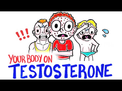 What Happens When You Take Testosterone?