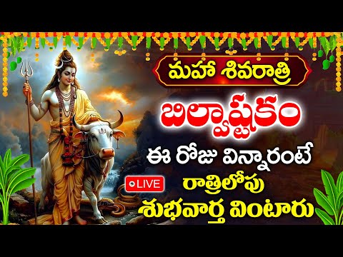 LIVE : శివరాత్రి భక్తి పాటలు వినండి - బిల్వాష్టకం | Shivaratri Special Songs 2025 | Bilvashtakam