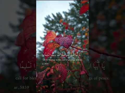 Beautiful recitation 🥰 😍 tilawat quran pak ☺ #reels #subscribe #views