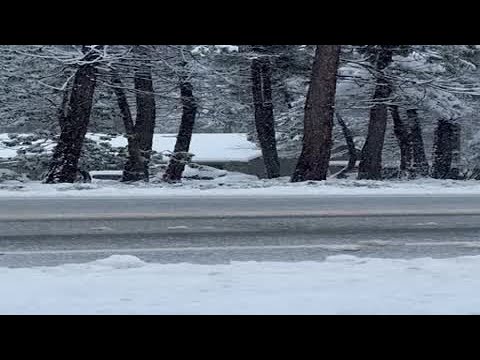 RAW | Snow falls in Pioneer on Thursday