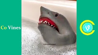 Try Not To Laugh Watching Shark Puppet Compilation | Funny Shark Puppet TikTok Videos