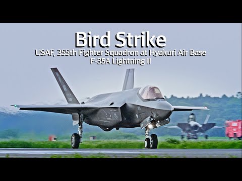 [百里基地] 米空軍F-35A 滑走中バードストライク 緊急離陸中止！ ウエストランウェイランディング　USAF, 355th FS / F-35A Bird Strike