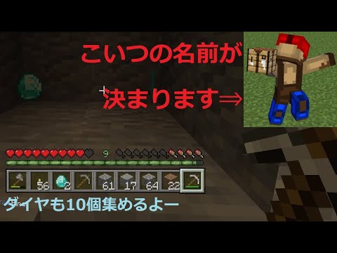 [マイクラ]人形くんの設定決めながらダイヤモンド10個集める！！