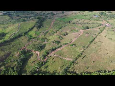 Reserva forestal- Bosque de las orquídeas- Origen Suroeste Antioqueño