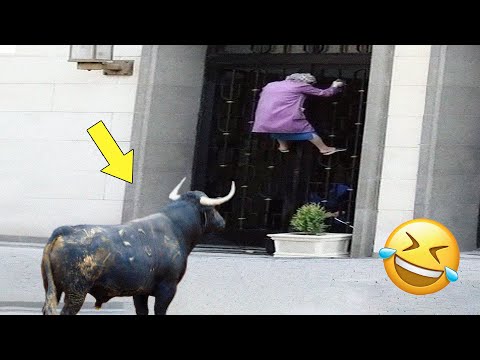 Best Funny Videos 🤣 - People Being Idiots | 😂 Try Not To Laugh - BY FunnyTime99 🏖️ #30