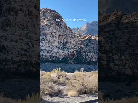 BEST ROADTRIP #usa #shorts #short #redrockcanyon