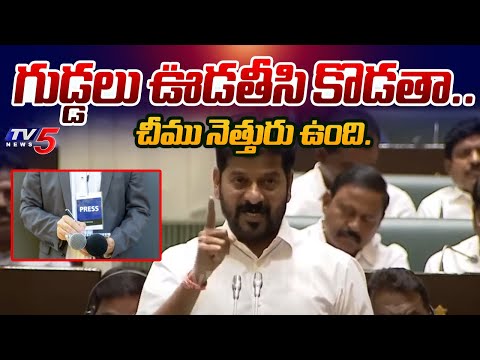 CM Revanth Reddy Strong Warning to Digital Media Journalists | TG Assembly | TV5 News