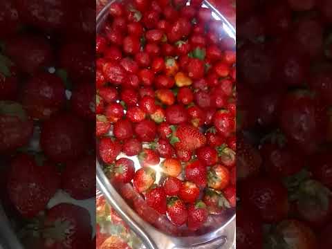 How to stores strawberry, fresh fig.#explore #trending#ytshort#viral#subscribe#like#share#comment