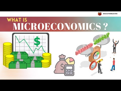 What is Microeconomics?