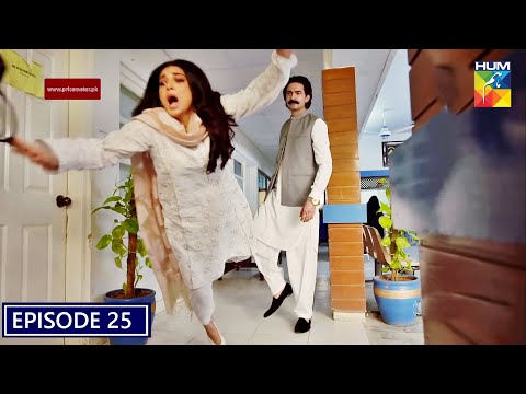 Qarar Episode 25 - Review " The Miscarriage " | Mikaal Zulfiqar | Sanum Jung | Muneeb butt | Hum tv