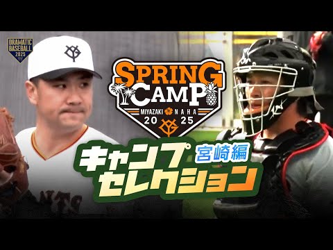 2025 キャンプセレクション〈宮崎編〉TOP3＋番外編 【巨人】【春季キャンプ】