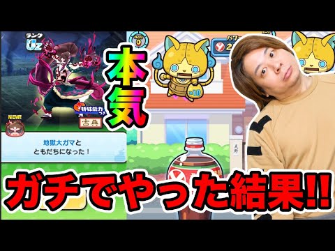 ぷにぷに「新ニャントスコーラガチでやってみた結果wwwww」【妖怪ウォッチぷにぷに】妖怪ウォッチ11周年 Yo-kai Watch part1664とーまゲーム