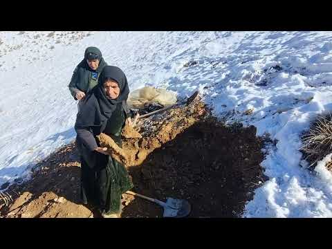 Heavy snowfall; trying to dig a cave in the snow in the cold