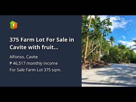 375 Farm Lot For Sale in Cavite with fruit bearing trees near Tagaytay