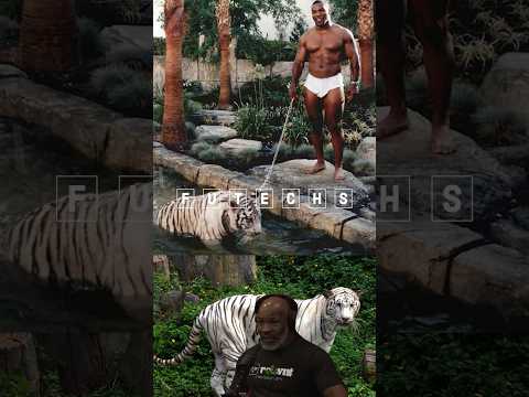 Inside the Ring and Outside: Mike Tyson's Unconventional Method of Caring for his Tigers