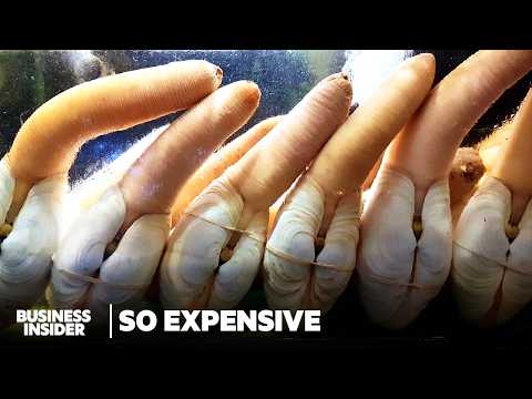 Why Geoducks Are So Expensive | So Expensive | Business Insider