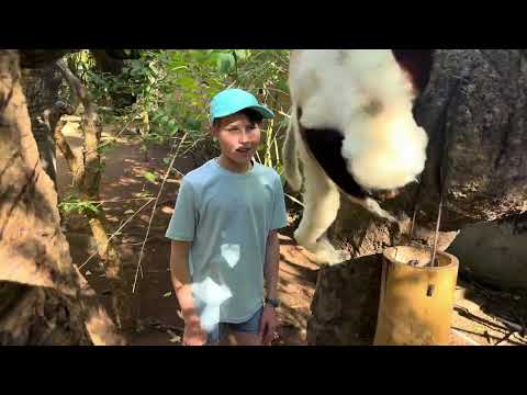 Brooke Meets A Sifaka! 🌍