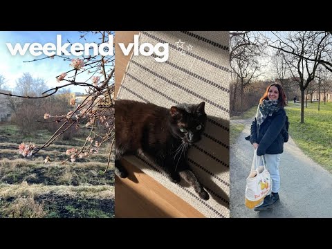 Weekend vlog: simple days - The Simplicity Vlog #6