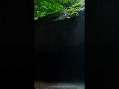 Rain falling on a cave among the trees with a dark mode