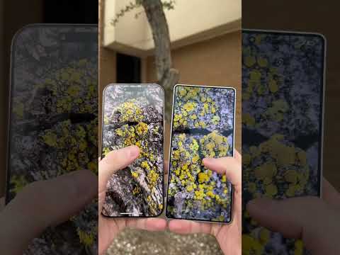 iPhone 16 Pro Max vs Galaxy S25 🔎 Macro Test – Which Camera Wins? 🤯 #iPhone16ProMax #GalaxyS25