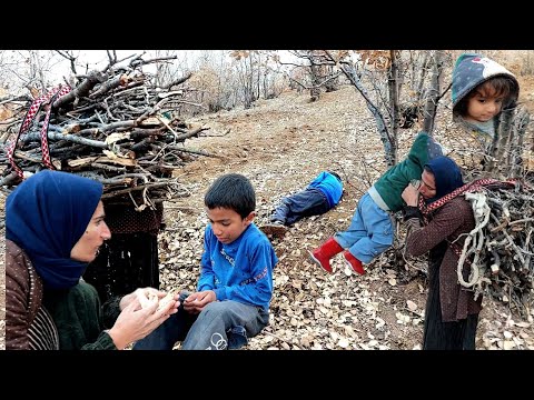 In Search of Firewood: The Legend of the Savior of a Lonely Boy