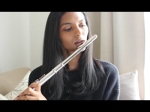 Fetish - Selena Gomez Flute Cover