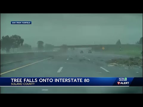 Dashcam shows tree fall on Interstate 80 during rainstorm