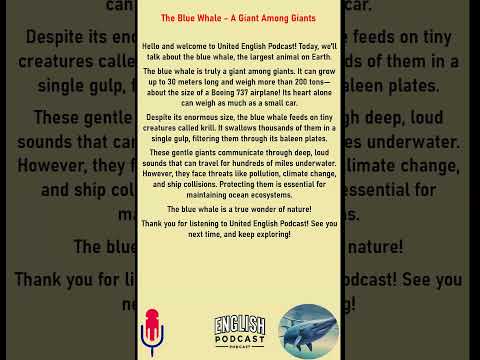 12 Learn English with Podcasts  The Blue Whale   A Giant Among Giants   English for Sleeping