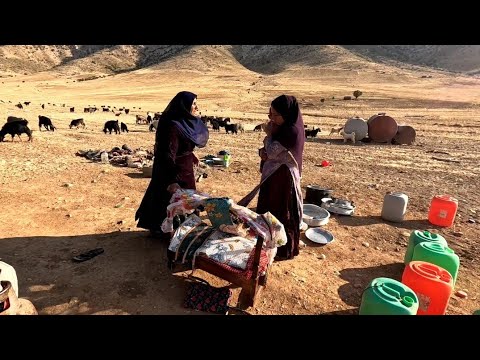 "Nomadic life: fighting between wife and mother-in-law