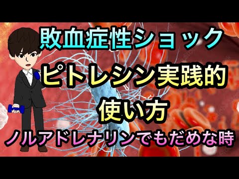 敗血症性ショックピトレシン使い方！ノルアドレナリンだけでは足りないときの救世主