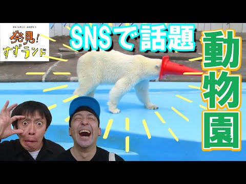 北海道・釧路で発見！SNSでも話題の動物が！「釧路市動物園」【釧路観光】