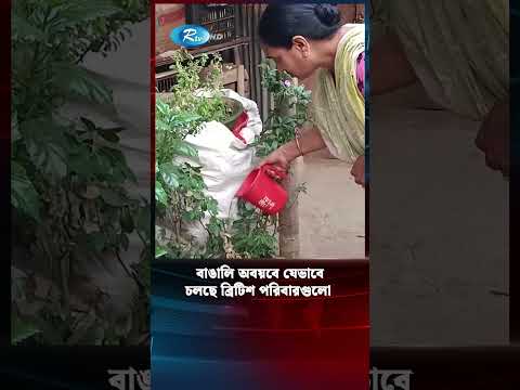 দেশের প্রত্যন্ত গ্রামে এক টুকরো ব্রিটেন, থাকেন যেসব ব্রিটিশ পরিবার! #british #Rtv #news