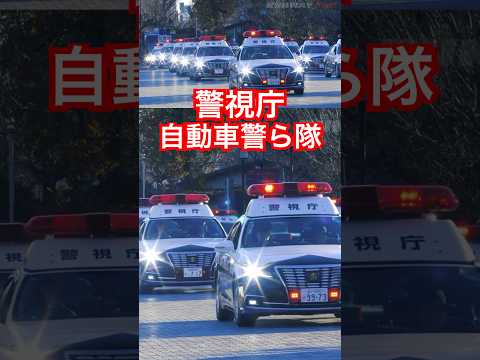 数えきれないパトカーの数に圧倒される！令和7年 #警視庁 #年頭部隊出動訓練 （分列行進/車両部隊）