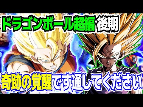 【ドッカンバトル】バトルスペクタクル ドラゴンボール超編　後期　奇跡の覚醒カテゴリフルパワー染め