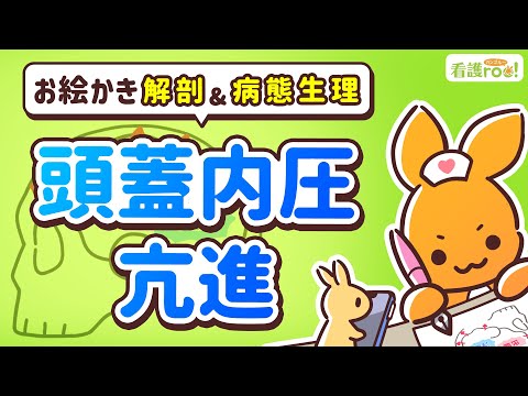 【脳神経系】頭蓋内圧亢進｜お絵かき解剖＆病態生理