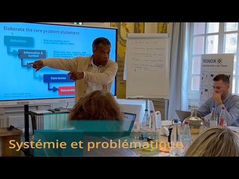 Systémie & problématique - Coacher une équipe de direction