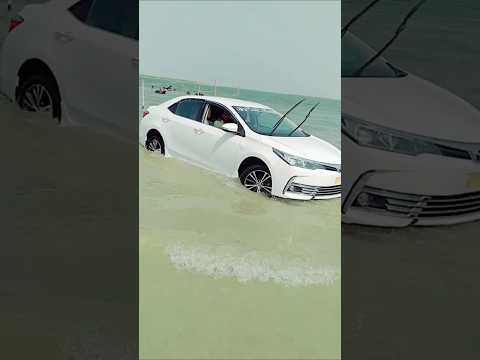 A wild Toyota think its Jetski!