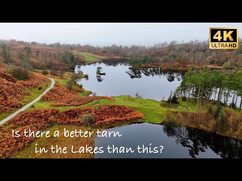 🍁Absolutely beautiful autumnal views of Tarn Hows: Lake District circular walk Black Crag Holme Fell