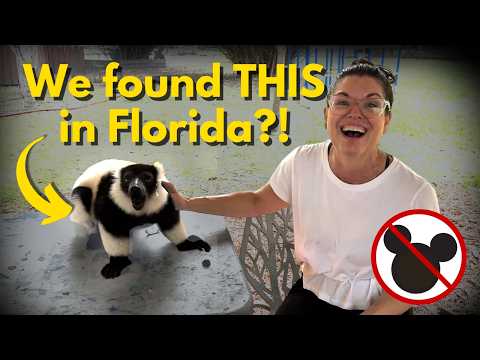 Hidden Florida RV Day Trips | Leaving Your Dog in the RV | RV Life