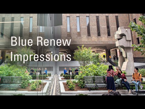 Blue Renew Impressions