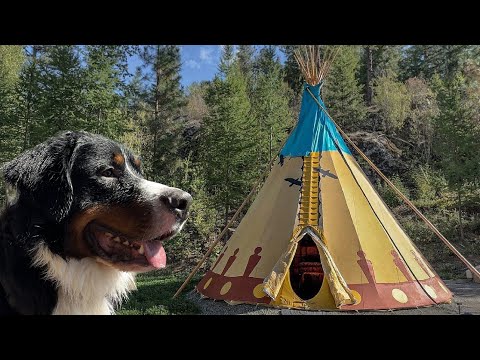 Family Camping In A Luxury Teepee with Our Dog