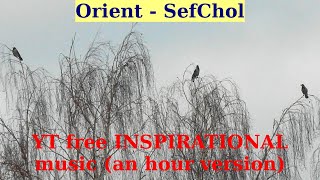 MUSIC FOR FOCUS. || AN HOUR LONG. || Orient by SefChol.